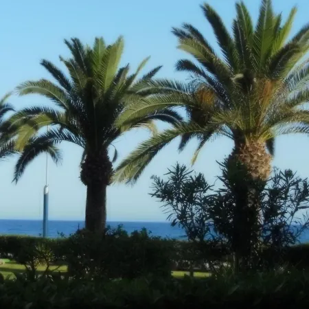 Apartamento Studio Brisa Del Mar Torrox
